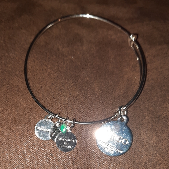Alex and Ani Color Virgo Zodiac Charm Bangle Shiny Silvertone Finish - Picture 9 of 10
